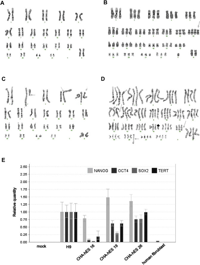 Figure 2