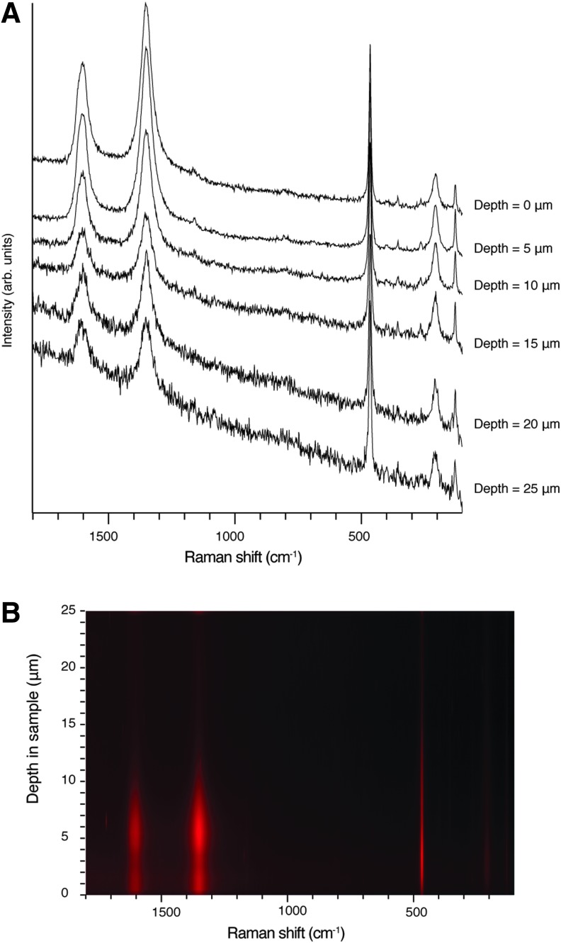 FIG. 1.