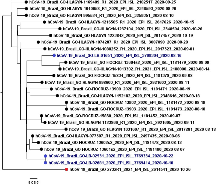 Fig. 2