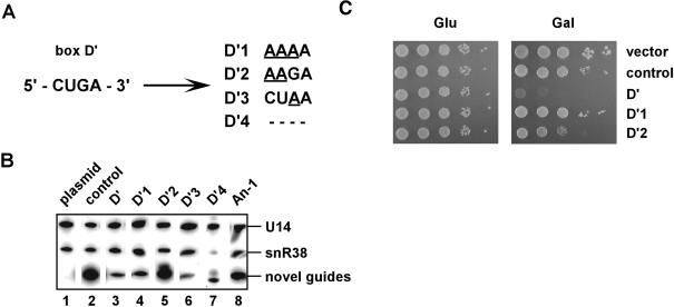 FIGURE 4.