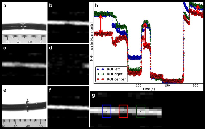 Fig 8