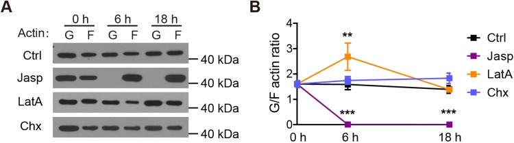 Fig. 4