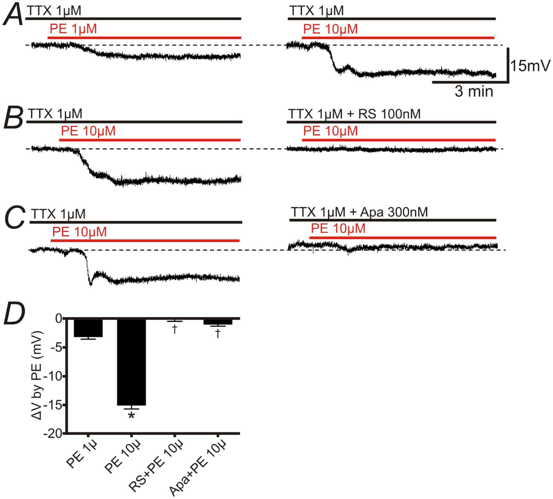 Figure 3: