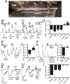 Figure 5: