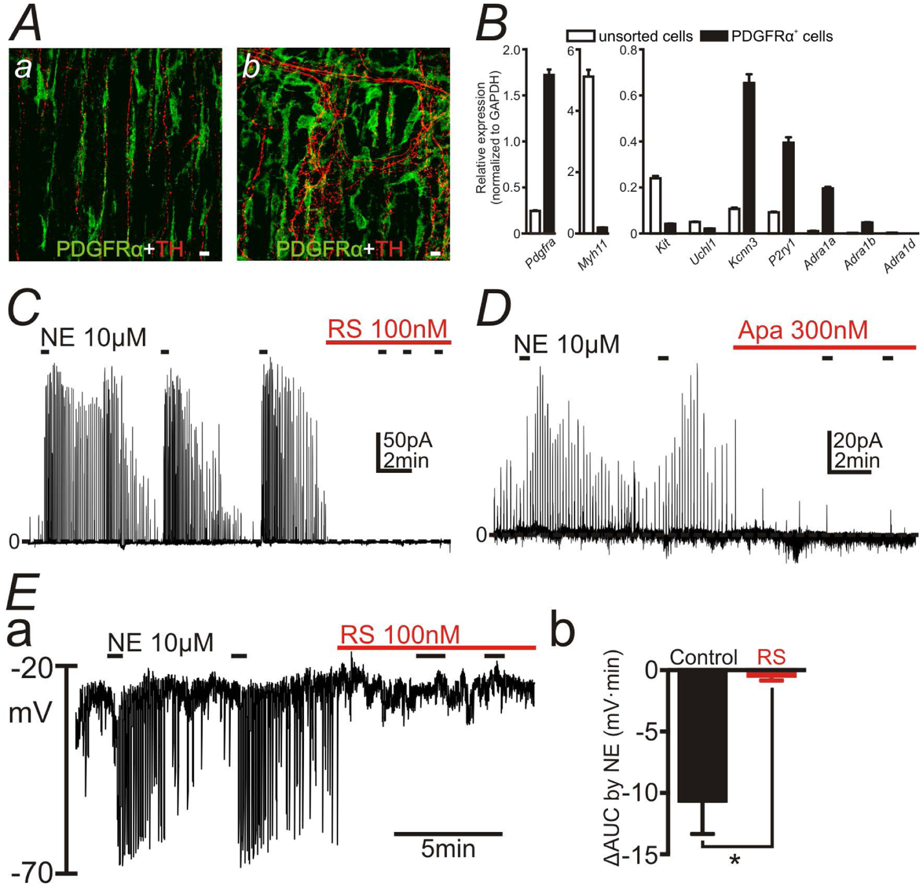 Figure 1: