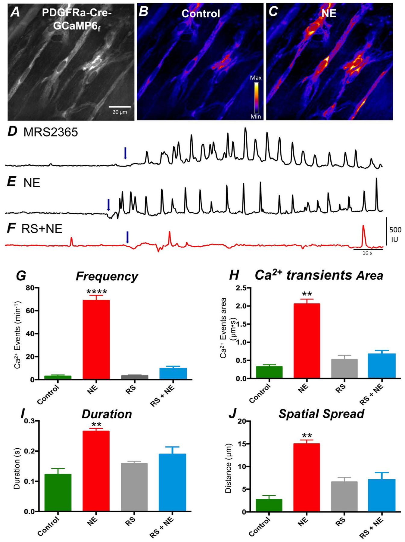 Figure 2: