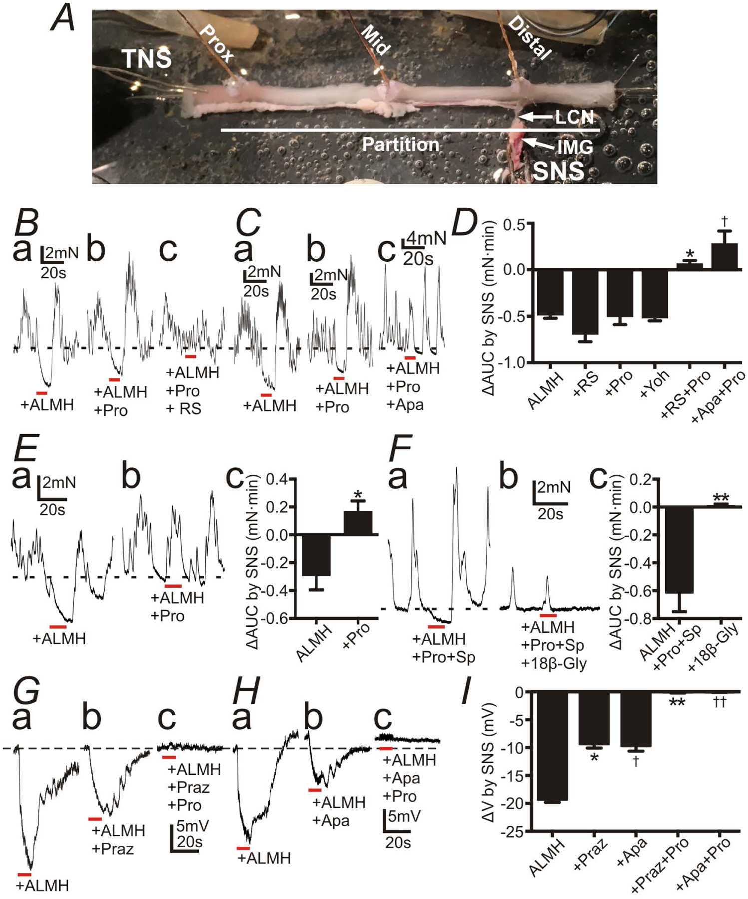 Figure 5: