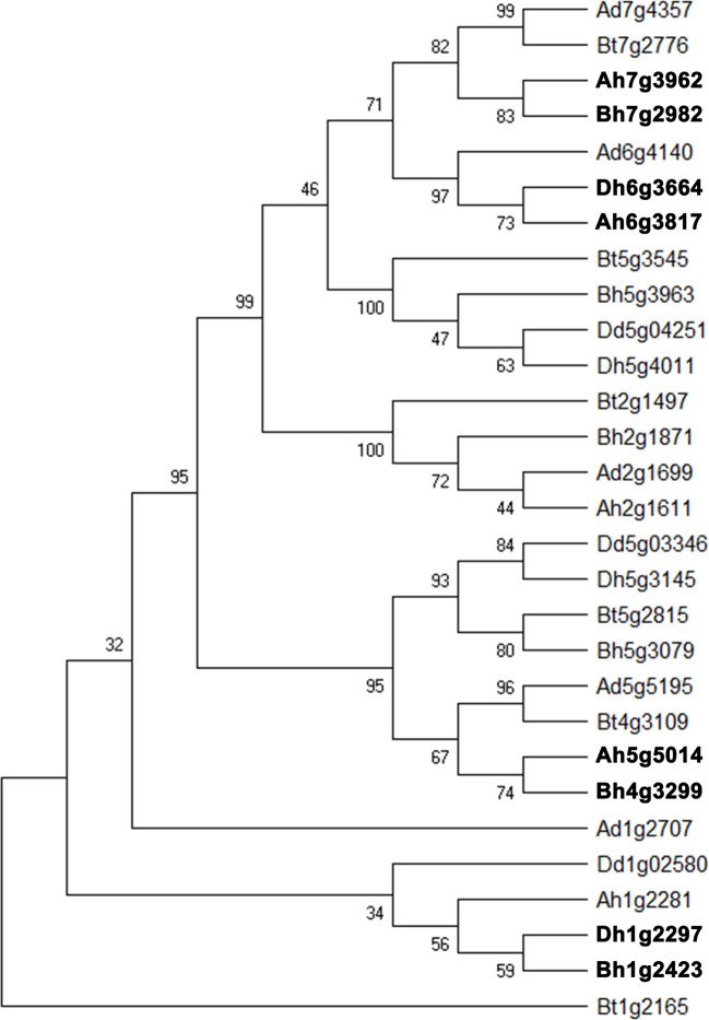 Figure 5