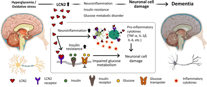 FIGURE 2