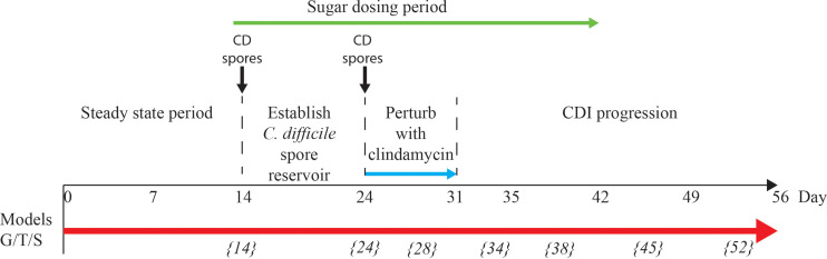 Figure 1