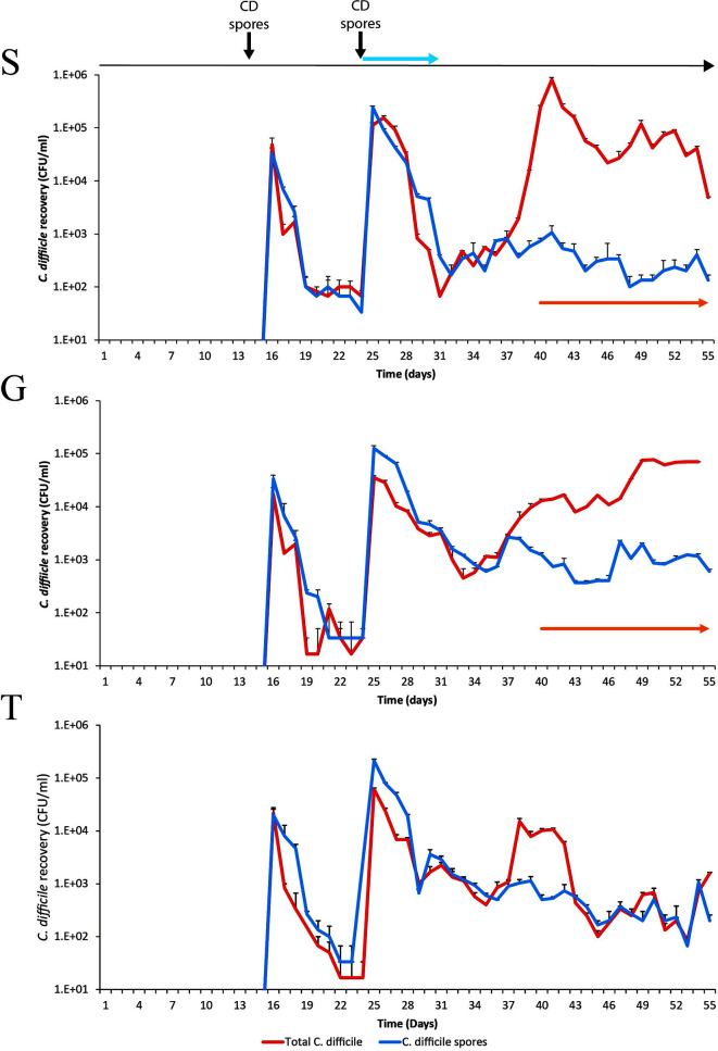 Figure 5