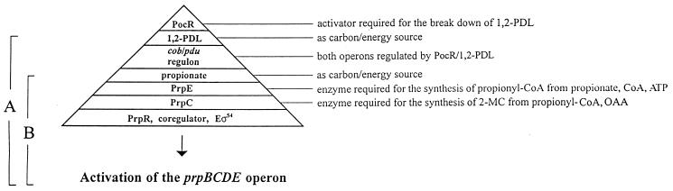 FIG. 5