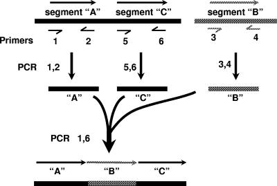 FIG. 2.