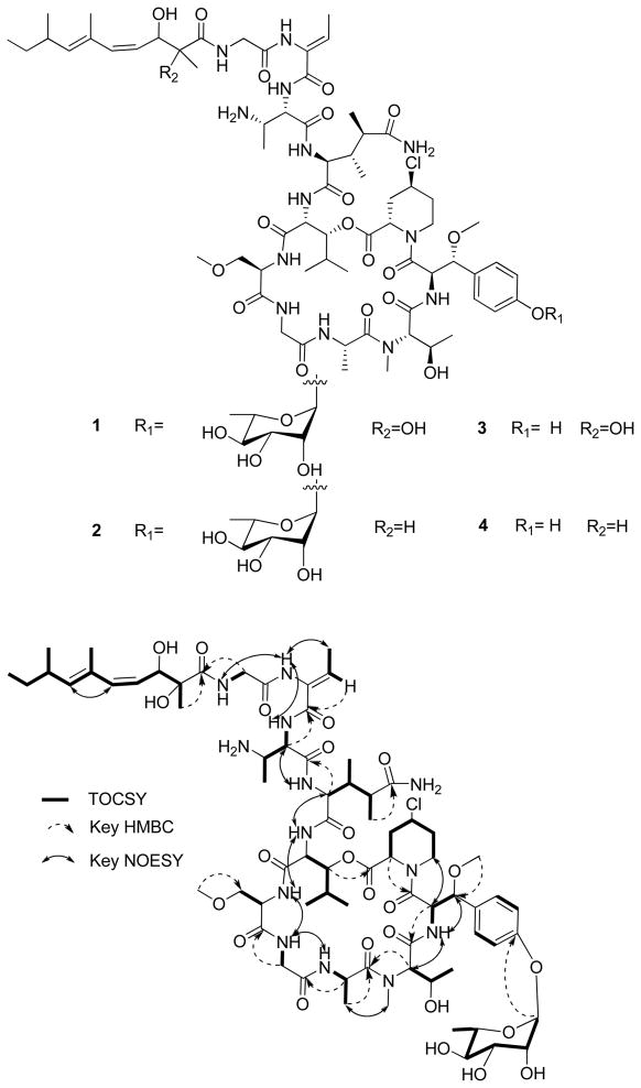 Mirabamides E-H, HIV-Inhibitory Depsipeptides from the Sponge Stelletta ...