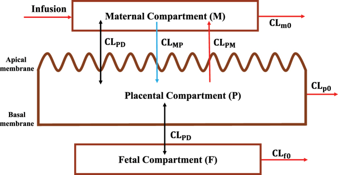 Figure 2:
