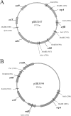 FIG. 1.