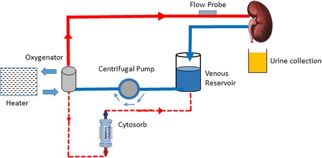 Fig. 1