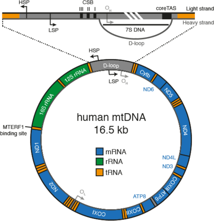 Overview figure