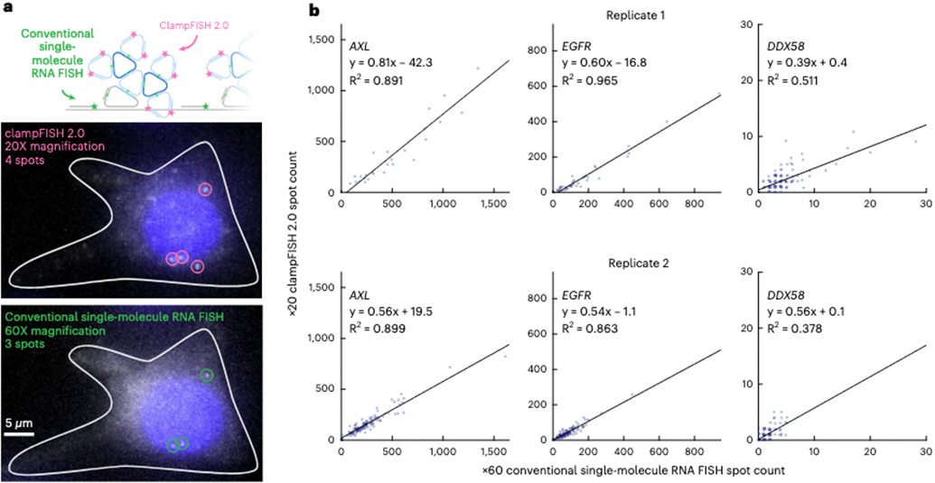 Fig. 2 ∣