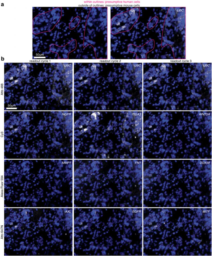 Extended Data Fig. 10 ∣