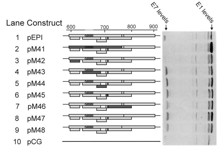 FIG. 7