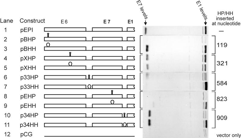 FIG. 6