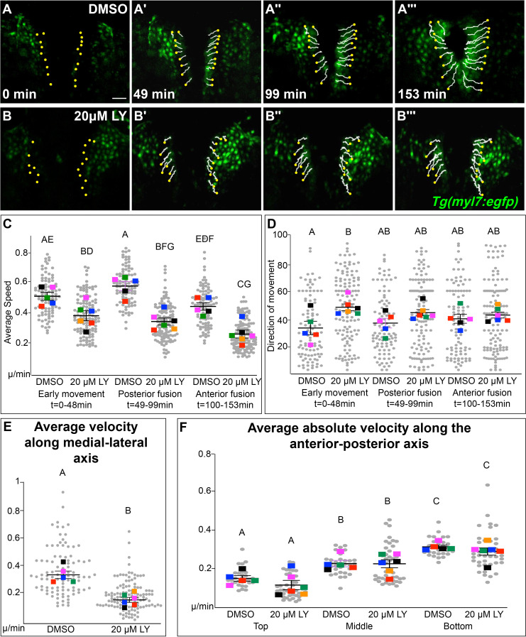 Figure 3—figure supplement 2.