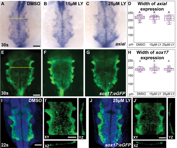 Figure 2—figure supplement 1.