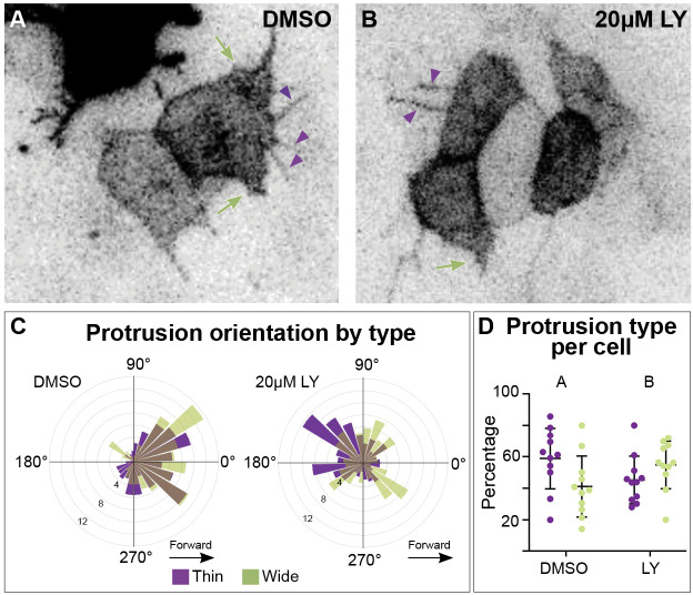 Figure 4—figure supplement 1.