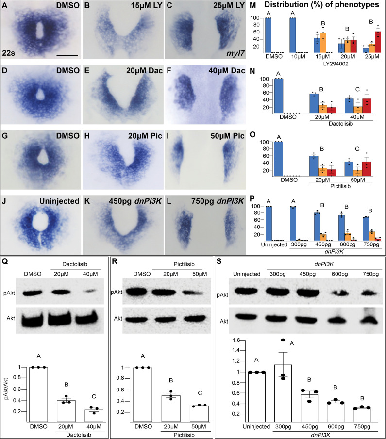 Figure 1—figure supplement 1.