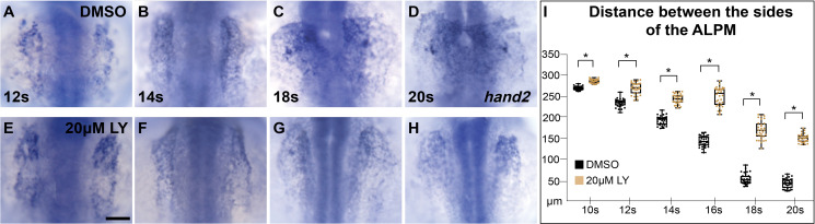 Figure 3—figure supplement 1.