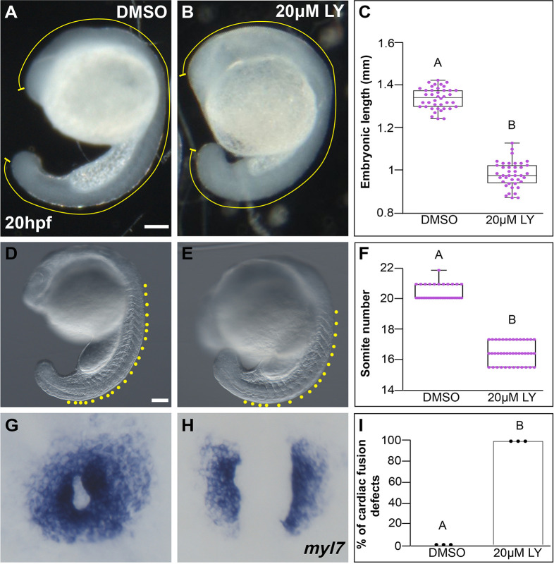 Figure 1—figure supplement 2.