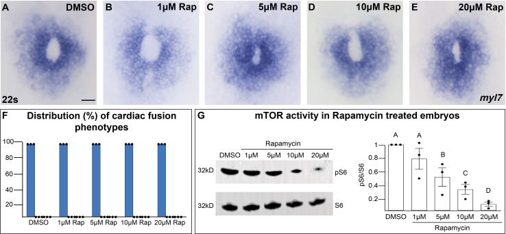 Figure 1—figure supplement 3.