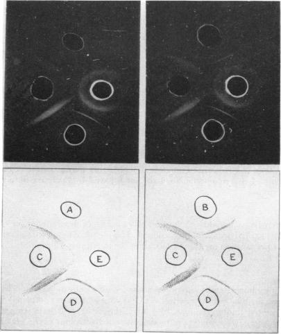 FIG. 5