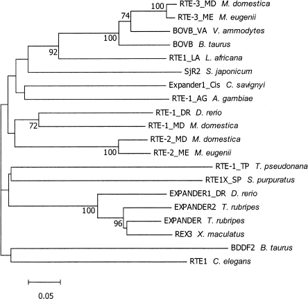 Figure 2.