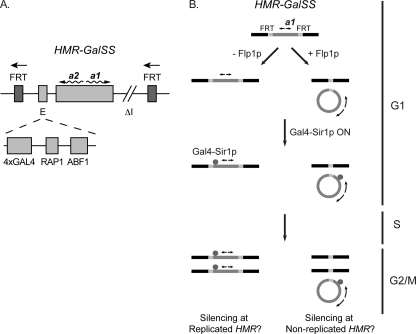 FIGURE 1.