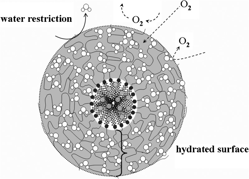 Fig. 6