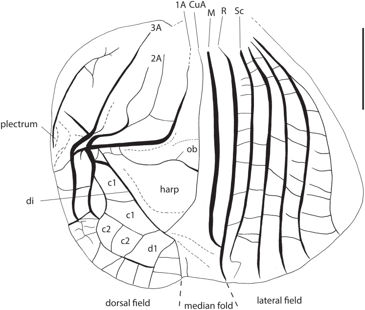 Fig 3