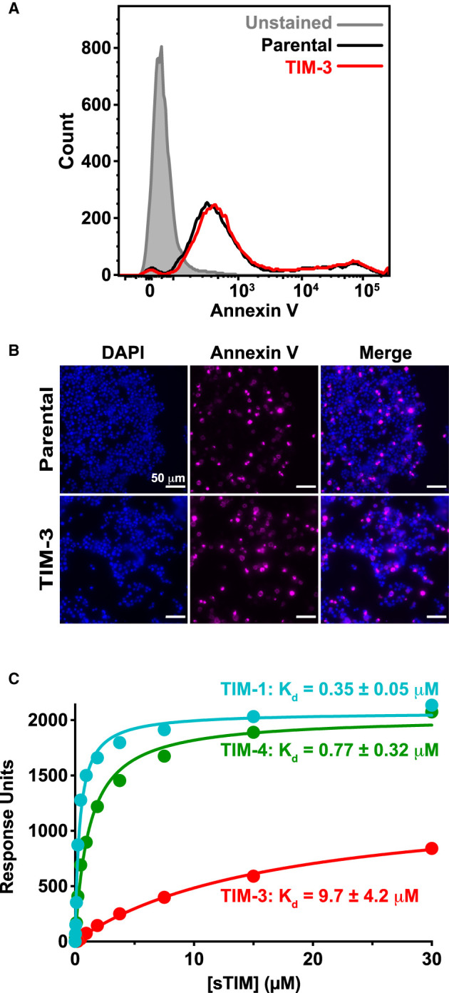 Figure 4.