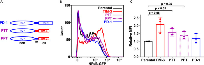 Figure 3.