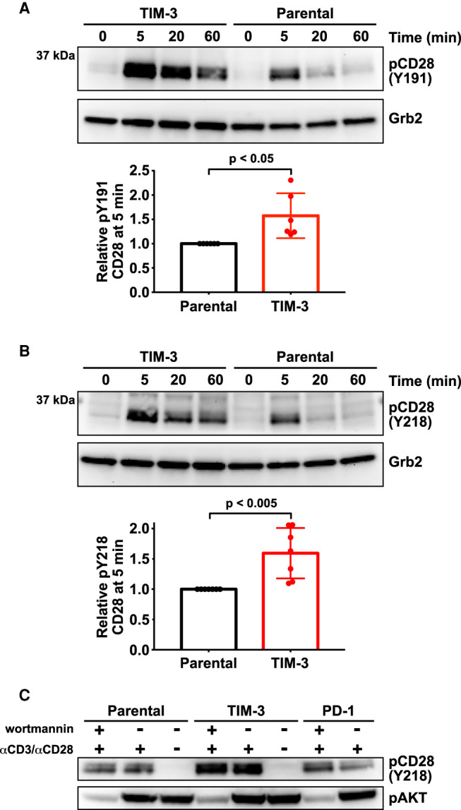 Figure 2.