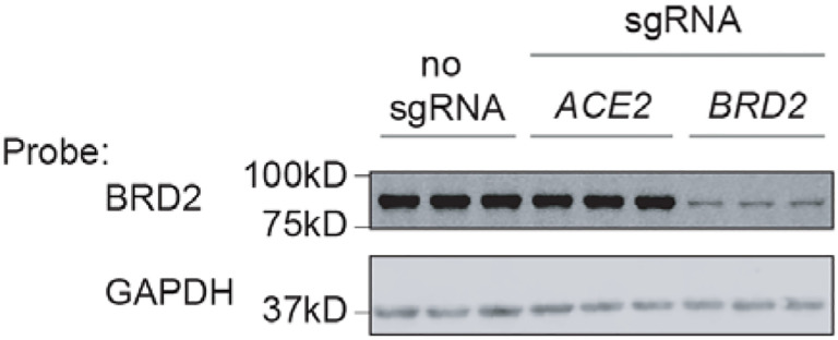 Extended Data Figure 4: