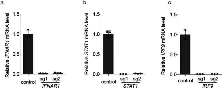 Extended Data Figure 6: