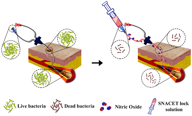 graphic file with name nihms-1763602-f0001.jpg