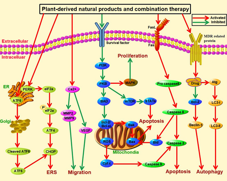 Figure 3