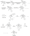 Scheme 5