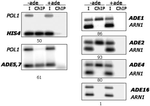 FIG. 5.