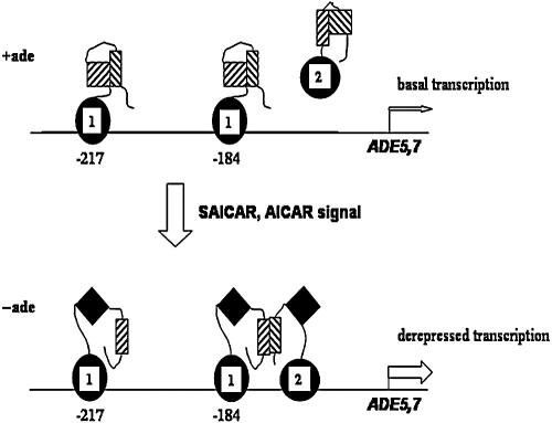 FIG. 7.