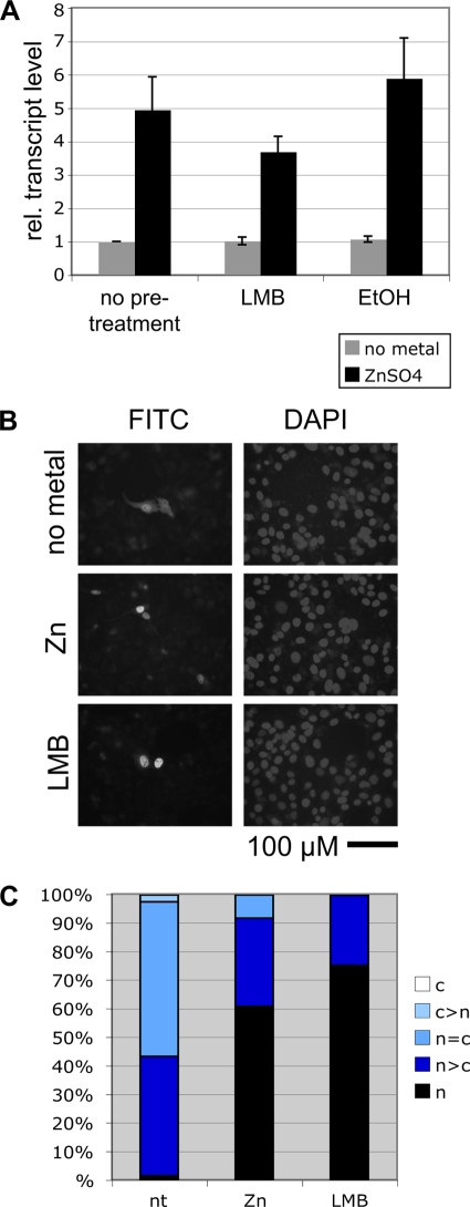 FIG. 5.