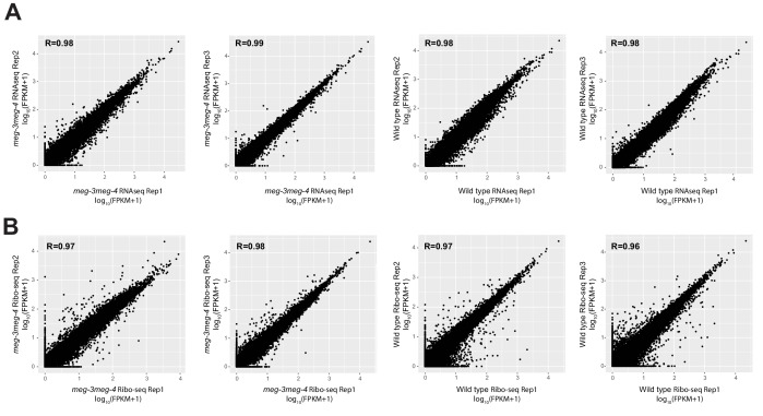 Figure 2—figure supplement 3.